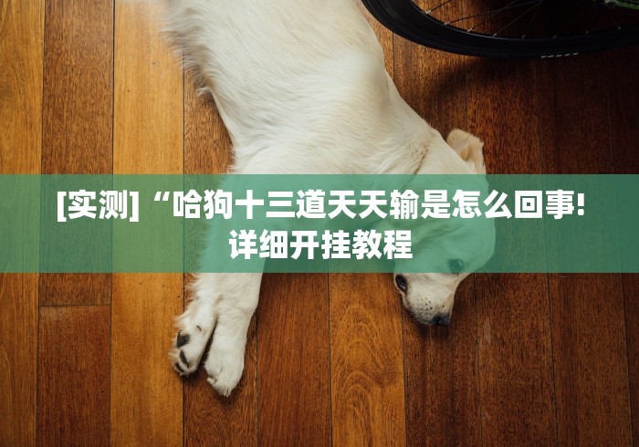 【重大消息】“开心跑胡子郴州字牌神器链接”详细外挂辅助详细教程