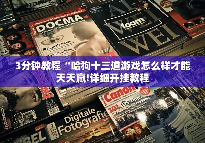 3分钟教程“哈狗十三道游戏怎么样才能天天赢!详细开挂教程