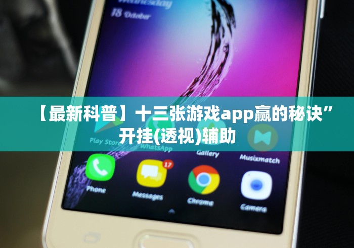 知识科普“闽游十三水app有挂买不”详细外挂安装步骤