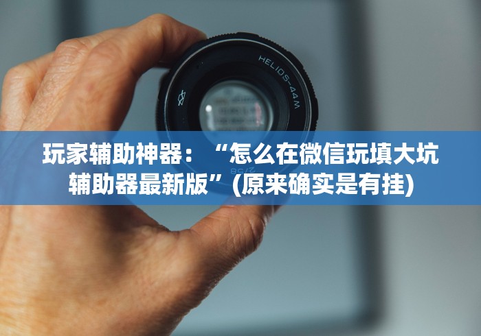 玩家辅助神器：“怎么在微信玩填大坑辅助器最新版”(原来确实是有挂)