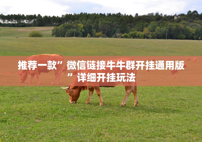 推荐一款”微信链接牛牛群开挂通用版”详细开挂玩法