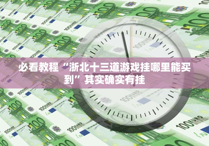 必看教程“浙北十三道游戏挂哪里能买到”其实确实有挂