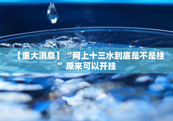 【重大消息】“网上十三水到底是不是挂”原来可以开挂