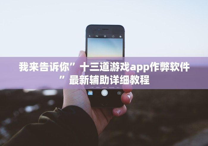 我来告诉你”十三道游戏app作弊软件”最新辅助详细教程