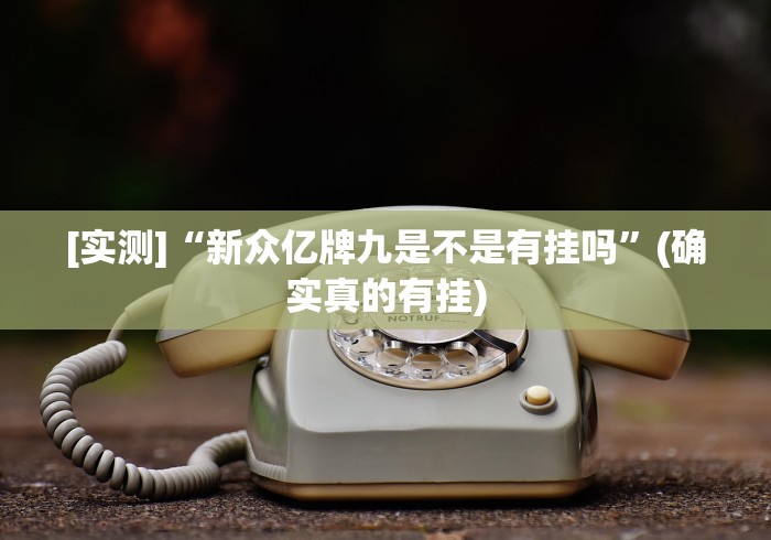 [实测]“新众亿牌九是不是有挂吗”(确实真的有挂)