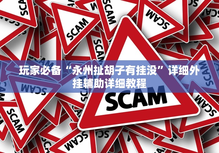 玩家必备“永州扯胡子有挂没”详细外挂辅助详细教程