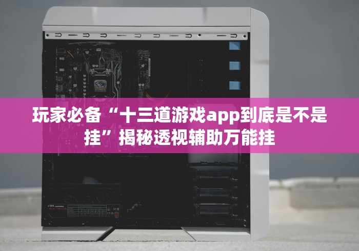 玩家必备“十三道游戏app到底是不是挂”揭秘透视辅助万能挂
