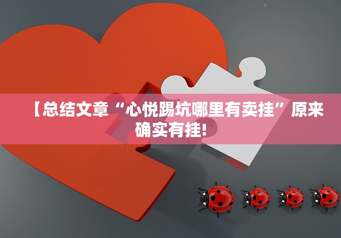 【总结文章“心悦踢坑哪里有卖挂”原来确实有挂!