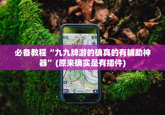 必备教程“九九牌游的确真的有辅助神器”(原来确实是有插件)