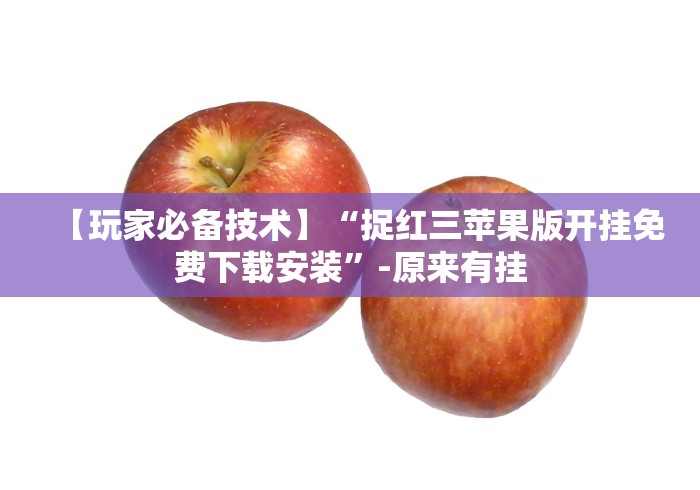 【玩家必备技术】“捉红三苹果版开挂免费下载安装”-原来有挂