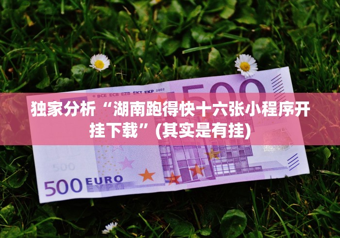 独家分析“湖南跑得快十六张小程序开挂下载”(其实是有挂)