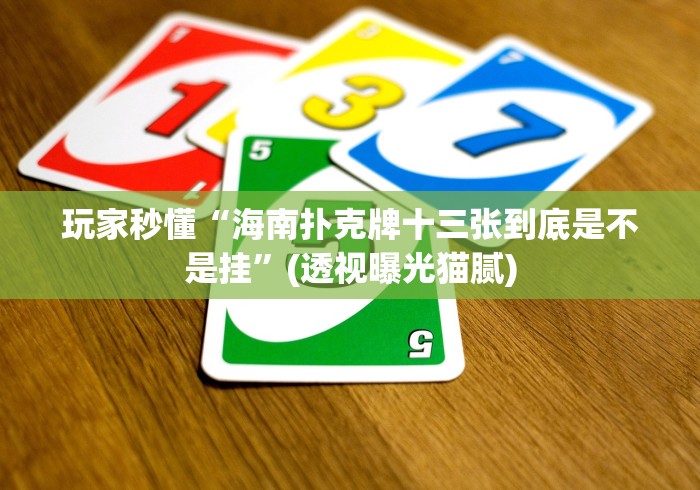 玩家秒懂“海南扑克牌十三张到底是不是挂”(透视曝光猫腻)
