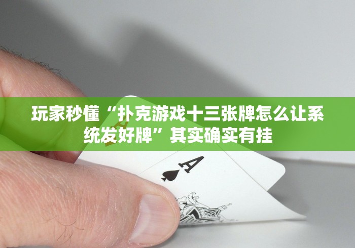 玩家秒懂“扑克游戏十三张牌怎么让系统发好牌”其实确实有挂