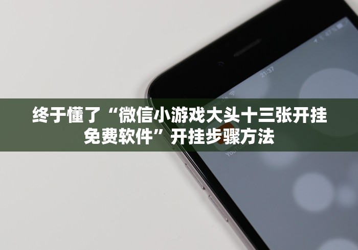 终于懂了“微信小游戏大头十三张开挂免费软件”开挂步骤方法