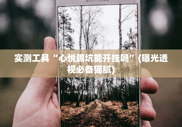 实测工具“心悦踢坑能开挂吗”(曝光透视必备猫腻)