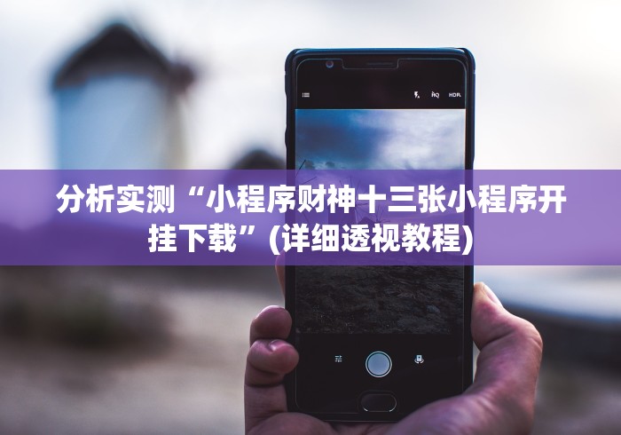 分析实测“小程序财神十三张小程序开挂下载”(详细透视教程)