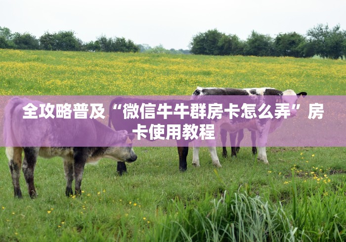 全攻略普及“微信牛牛群房卡怎么弄”房卡使用教程