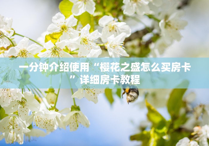 一分钟介绍使用“樱花之盛怎么买房卡”详细房卡教程