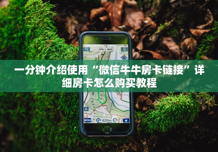 一分钟介绍使用“微信牛牛房卡链接”详细房卡怎么购买教程
