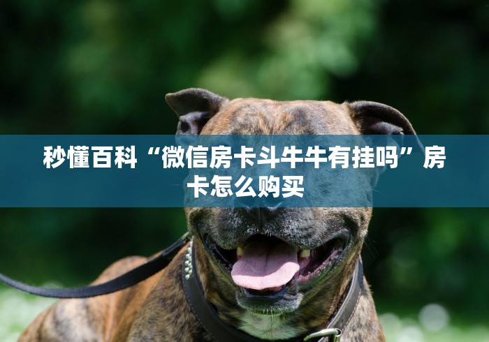 秒懂百科“微信房卡斗牛牛有挂吗”房卡怎么购买
