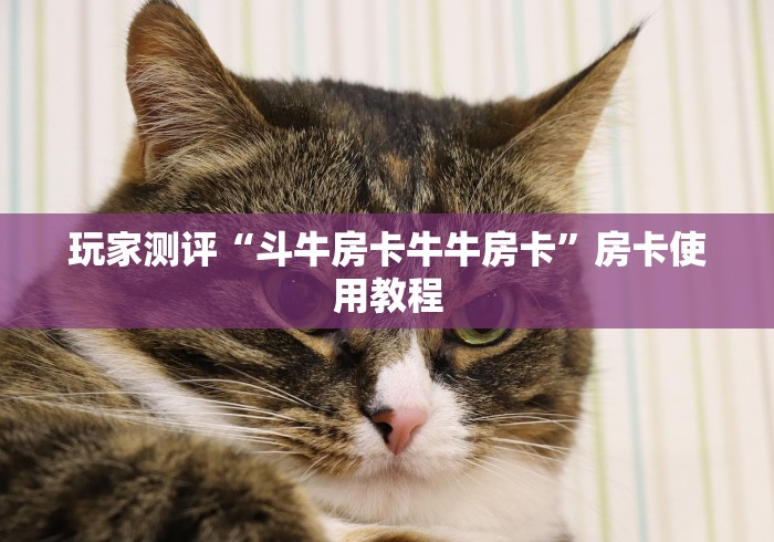 玩家测评“斗牛房卡牛牛房卡”房卡使用教程