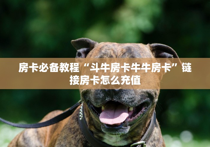 房卡必备教程“斗牛房卡牛牛房卡”链接房卡怎么充值