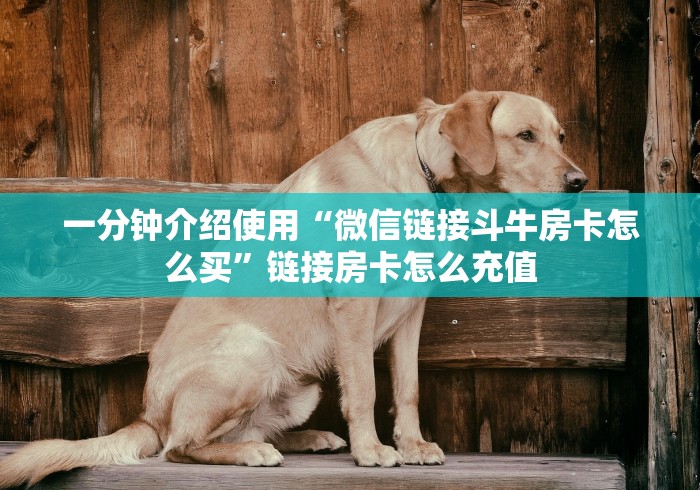 一分钟介绍使用“微信链接斗牛房卡怎么买”链接房卡怎么充值