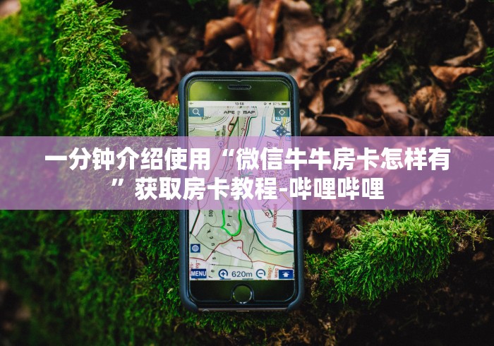 一分钟介绍使用“微信牛牛房卡怎样有”获取房卡教程-哔哩哔哩