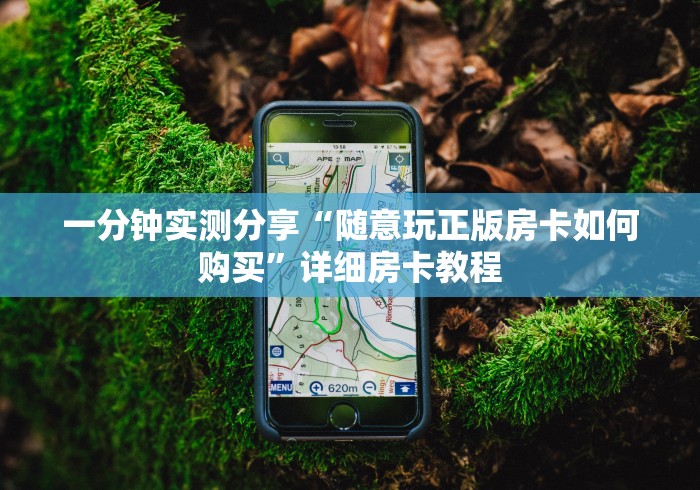 一分钟实测分享“随意玩正版房卡如何购买”详细房卡教程