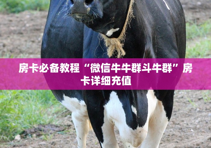 房卡必备教程“微信牛牛群斗牛群”房卡详细充值