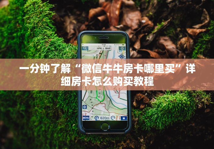 一分钟了解“微信牛牛房卡哪里买”详细房卡怎么购买教程