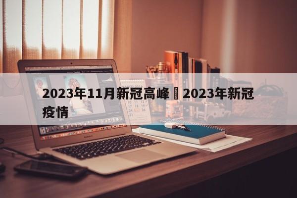 2023年11月新冠高峰›2023年新冠疫情